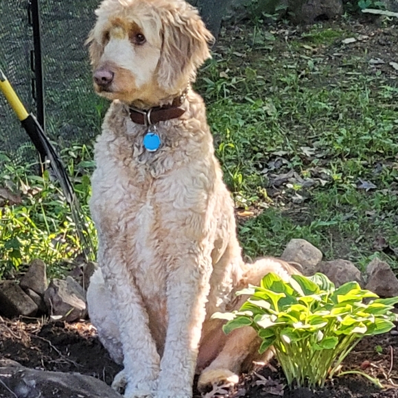 PLEASE LIKE FOR NOTIFICATION..FASHION, BAGS, ETC! MY FAVORITE THINGS - Picture 7 of 12